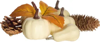 Dekoracja dynie i szyszki Autumn 24