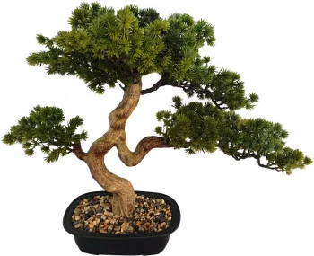 Drzewko Bonsai Florino 135