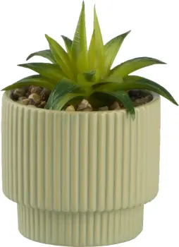 Roślina Naturos 156